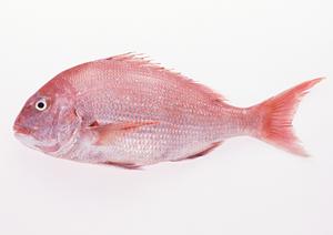 名古屋のナイトワークを心から楽しめる